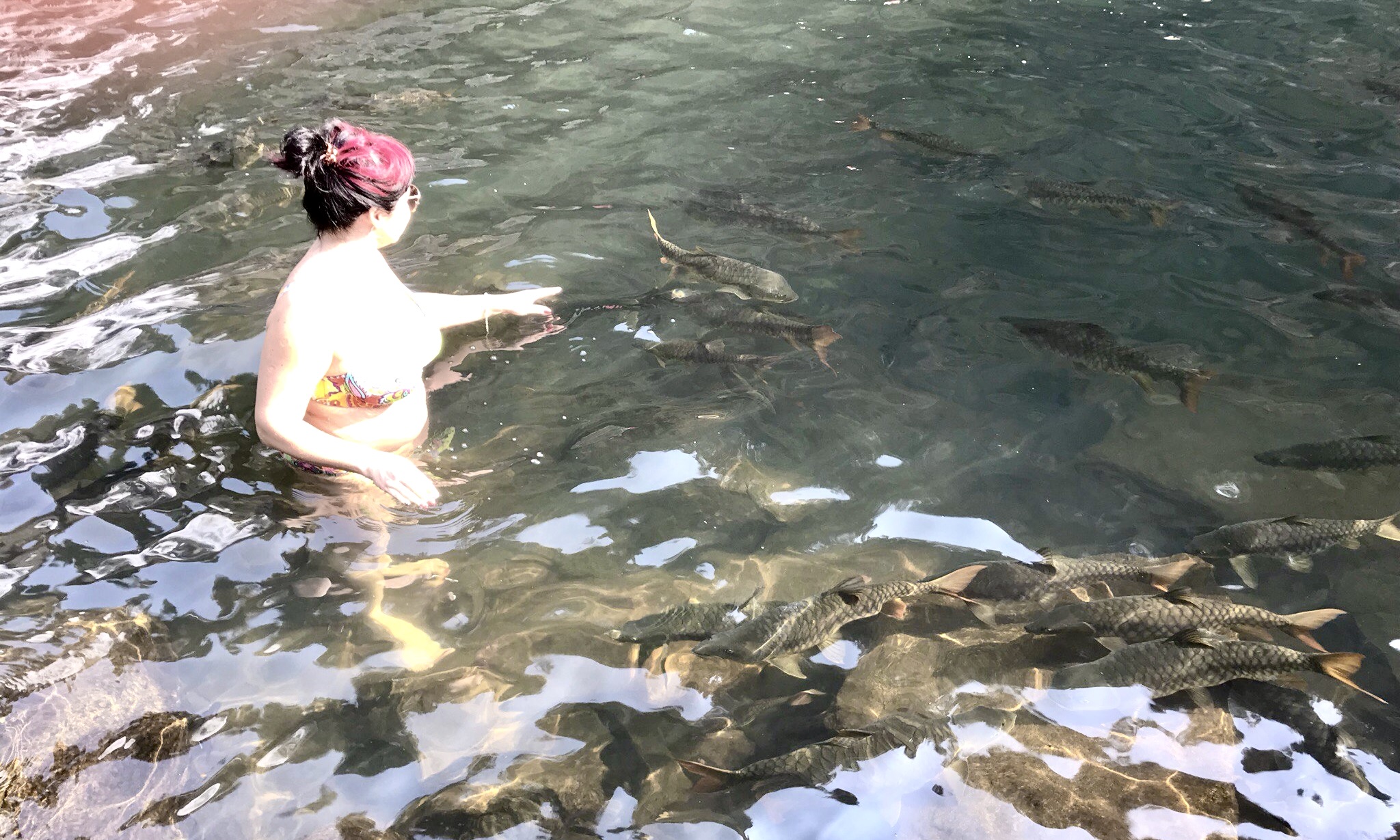 Купание с карпами в озере у водопада Дудхсагар 